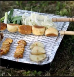 Barbecue 2 Pièces - Instantané - Jetable - Barbecue Extérieur - Table - Grille - Balcon - Pique-nique - Accessoires Barbecue - Grill - Acheter Barbecue - Barbecue - Sauce Barbecue - -Grill Feu Maison 1160x1200 1