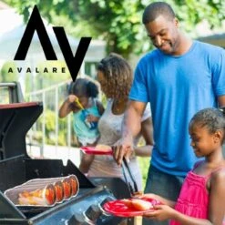 Grilles De Barbecue Avalare - Barbecue - Acier Inoxydable - Réutilisable - Accessoires De Barbecue - Couvercle Refermable - Grijs