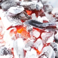 Barbecook - Démarreur De Briquettes - Démarreur De BBQ - Démarreur De Charbon De Bois - Acier Inoxydable - Ø 16,5 X 27,5 Cm 10 Barbecook - Démarreur De Briquettes - Démarreur De BBQ - Démarreur De Charbon De Bois - Acier Inoxydable - Ø 16,5 X 27,5 Cm -Grill Feu Maison 1200x1200 1916