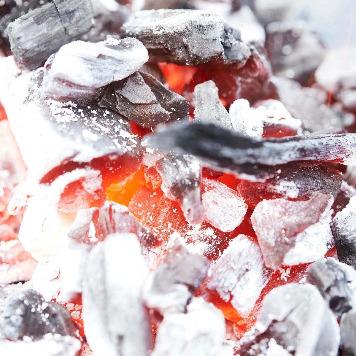 Barbecook - Démarreur De Briquettes - Démarreur De BBQ - Démarreur De Charbon De Bois - Acier Inoxydable - Ø 16,5 X 27,5 Cm 4 Barbecook - Démarreur De Briquettes - Démarreur De BBQ - Démarreur De Charbon De Bois - Acier Inoxydable - Ø 16,5 X 27,5 Cm – Image 4