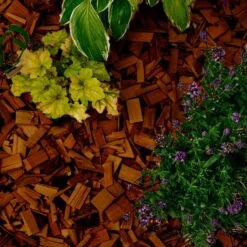 Holtaz - Écorce Décorative - Copeaux De Bois Décoratifs - Écorce Deco - Décoration Dune - 50 Litres - Marron -Grill Feu Maison 1200x1200 656