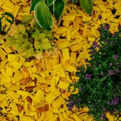 Holtaz - Écorce Décorative - Copeaux De Bois Décoratifs - Écorce Deco - Décoration Dune - 50 Litres - Jaune 7 Holtaz - Écorce Décorative - Copeaux De Bois Décoratifs - Écorce Deco - Décoration Dune - 50 Litres - Jaune -Grill Feu Maison 1200x1200 657