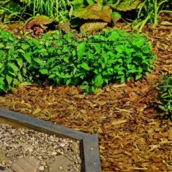 Holtaz - Écorce Décorative - Copeaux De Bois Décoratifs - Écorce Deco - Décoration Dune - 50 Litres - Jaune 8 Holtaz - Écorce Décorative - Copeaux De Bois Décoratifs - Écorce Deco - Décoration Dune - 50 Litres - Jaune -Grill Feu Maison 1200x1200 658