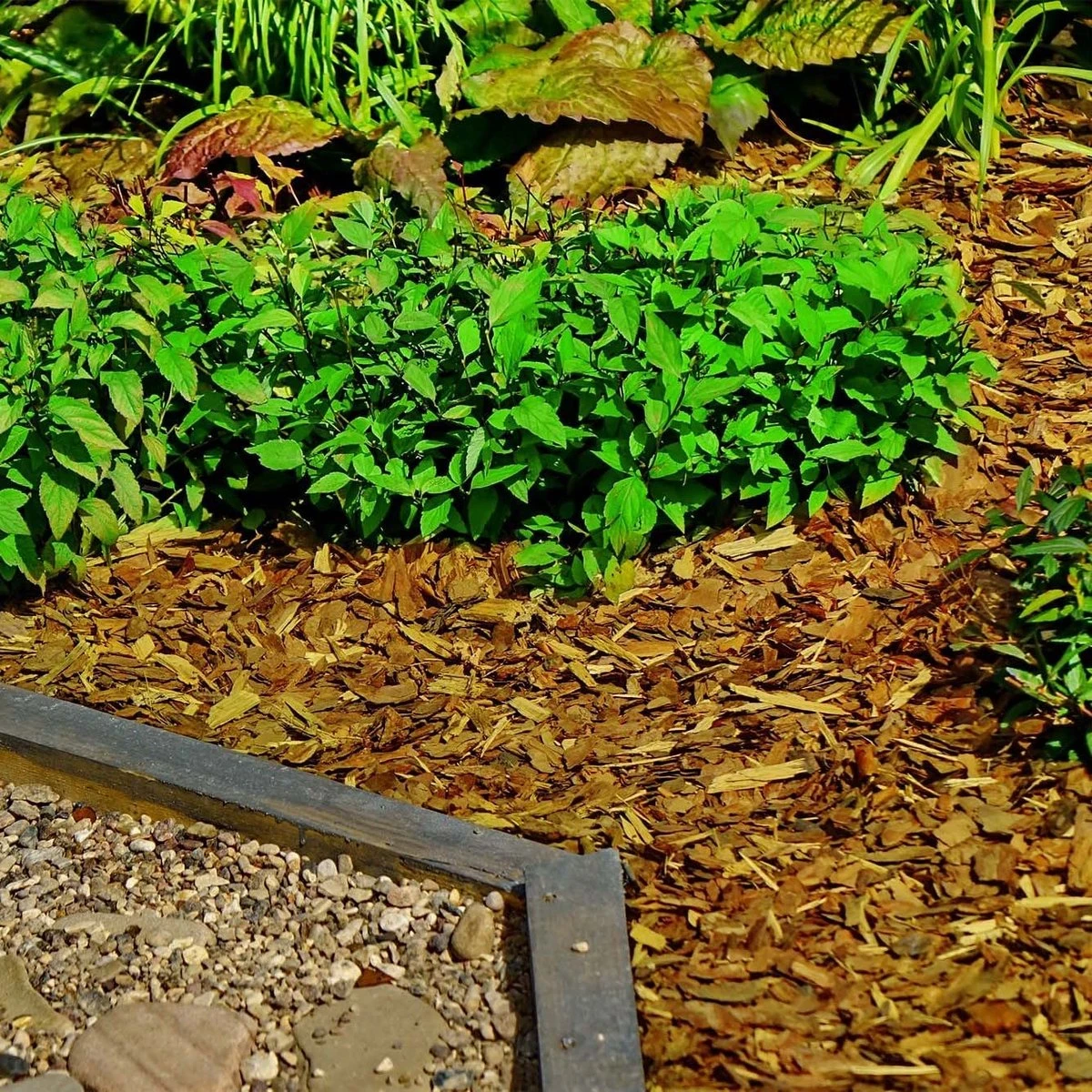 Holtaz - Écorce Décorative - Copeaux De Bois Décoratifs - Écorce Deco - Décoration Dune - 50 Litres - Jaune 4 Holtaz - Écorce Décorative - Copeaux De Bois Décoratifs - Écorce Deco - Décoration Dune - 50 Litres - Jaune – Image 4