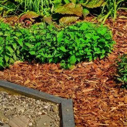 Holtaz - Écorce Décorative - Copeaux De Bois Décoratifs - Écorce Deco - Décoration Dune - 50 Litres - Oranje -Grill Feu Maison 1200x1200 709