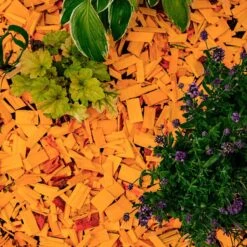 Holtaz - Écorce Décorative - Copeaux De Bois Décoratifs - Écorce Deco - Décoration Dune - 50 Litres - Oranje -Grill Feu Maison 1200x1200 710