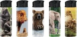 Briquet - Briquets - Rechargeable - Rechargeable - Briquet à Gaz - Animaux Sauvages - Animaux Sauvages - 5 Pièces