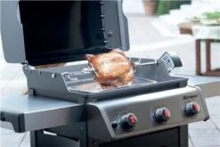 WEBER Gas BBQ Fuels Spirit - Rotisserie - Pour Les Séries Spirit, 200 Et 300 -Grill Feu Maison 1200x800 63