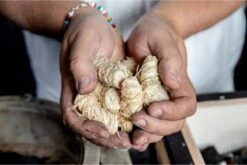 Boucles De Briquet En Laine De Bois Samba 240 Pièces, 3 Kg. Dans Un Carton Extérieur - Respectueux De L'environnement - Neutre En CO2 - FSC® -Grill Feu Maison 1200x802 5