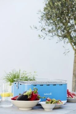 Barbecook Carlo - Barbecue Au Charbon De Bois - Barbecue De Table - Sac De Transport - Compact - Ventilateur - 38,5 X 28,5 Cm - 6 P. - Bleu -Grill Feu Maison 799x1200 12