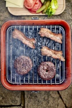 Charbon De Bois Everdure Cube - Avec Compartiment De Rangement Et Plan De Travail - Aluminium / Bois / Acier Inoxydable - Vert -Grill Feu Maison 799x1200 16