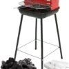 Inround - Barbercue Avec Briquettes De Charbon De Bois Et Allume-feu - BBQ